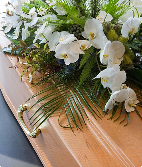 coffin